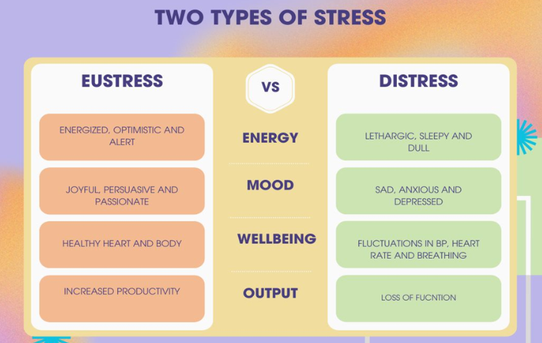 Stress Management Services in Mohali